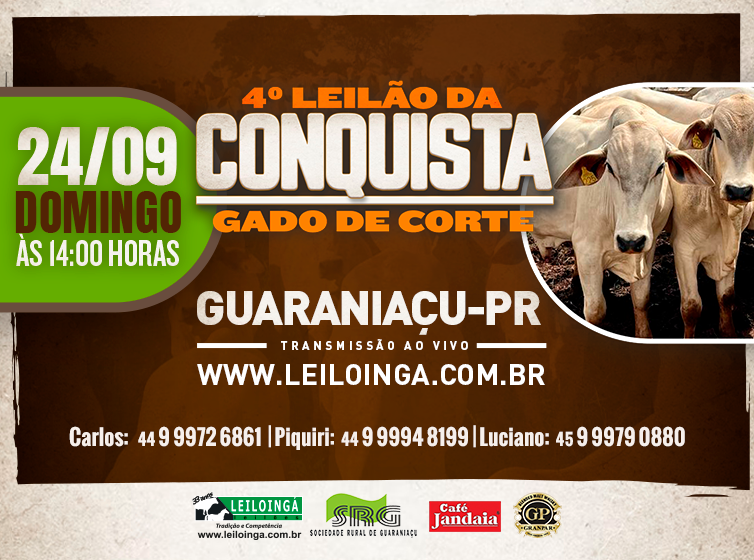 4º LEILÃO DA CONQUISTA – GADO DE CORTE- GUARANIAÇU-PR – LeiloIngá
